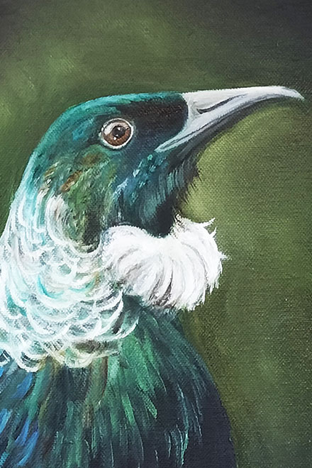 New Zealand Tieke bierd