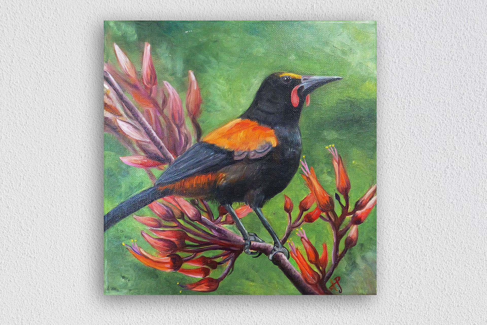 Saddleback, Tieke bird oil painting